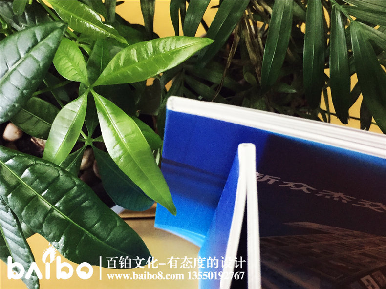 標(biāo)識(shí)加工制作產(chǎn)品宣傳畫冊(cè)設(shè)計(jì)-公司畫冊(cè)制作
