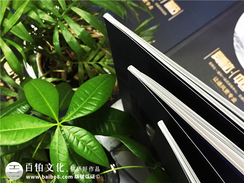 通風(fēng)節(jié)能電扇產(chǎn)品宣傳冊(cè)設(shè)計(jì)-工業(yè)科技制作公司樣本畫(huà)冊(cè)如何制作?