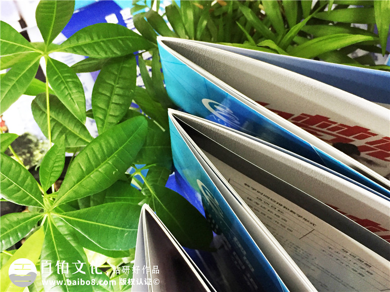 學(xué)校招生簡章宣傳冊(cè)設(shè)計(jì)-畫冊(cè)設(shè)計(jì)制作