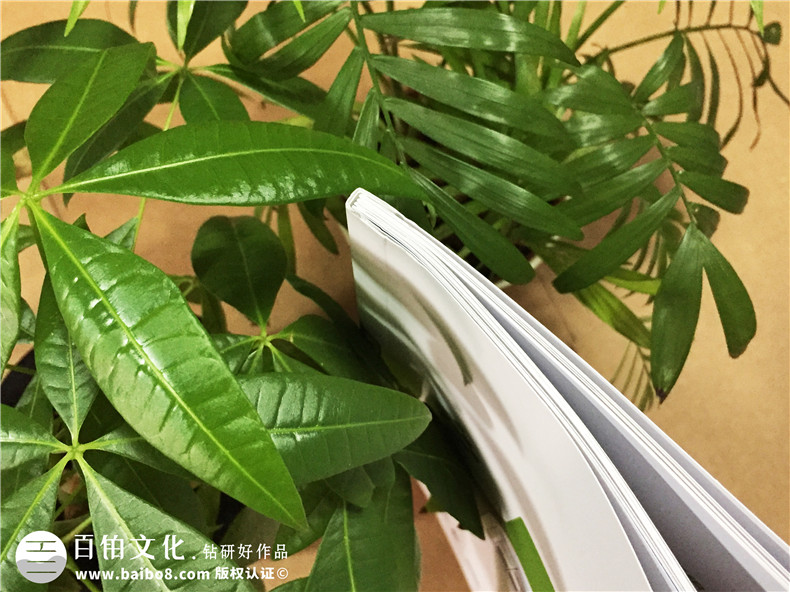 醫(yī)院宣傳冊設(shè)計(jì)-醫(yī)療器械畫冊制作