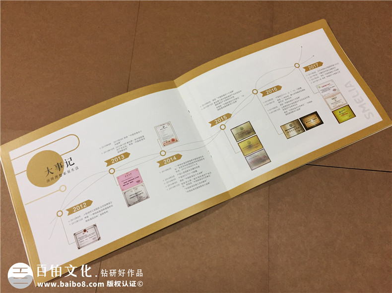 成都畫冊設(shè)計公司哪家好-硅藻泥行業(yè)宣傳冊