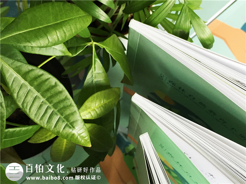 景區(qū)宣傳畫冊內(nèi)頁版式設(shè)計-旅游景點森林自然資源教育手冊怎么做?