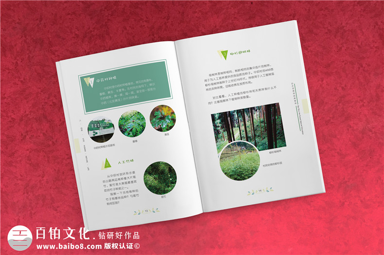 景區(qū)宣傳畫冊內(nèi)頁版式設(shè)計-旅游景點森林自然資源教育手冊怎么做?