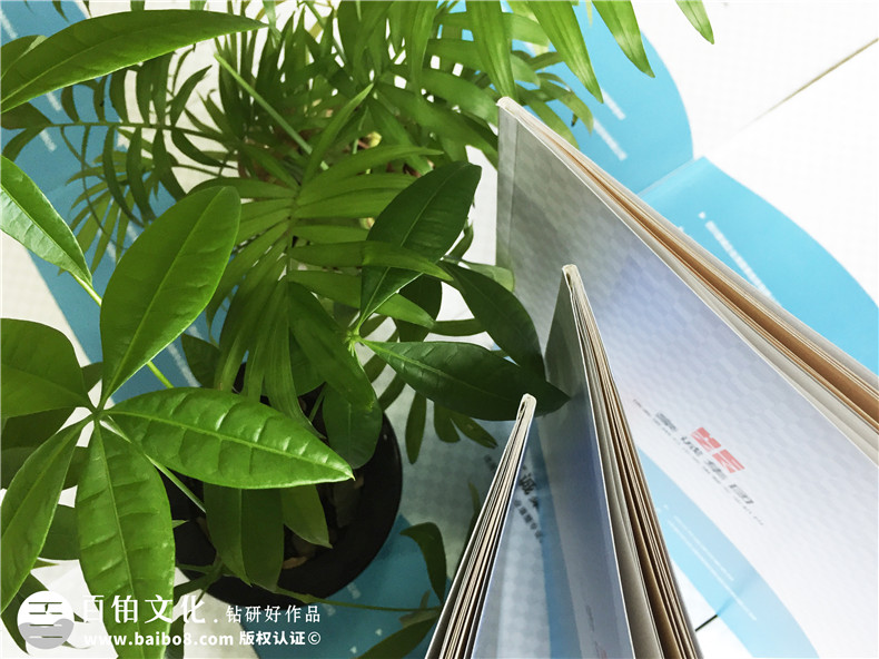 律師事務(wù)所宣傳畫冊設(shè)計-律師團(tuán)隊企業(yè)簡介圖冊案例的內(nèi)容設(shè)計思路