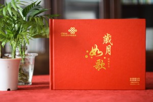 辦公室老員工六十歲退休個(gè)人畫冊(cè)-單位給職工家屬做的紀(jì)念冊(cè)怎么做