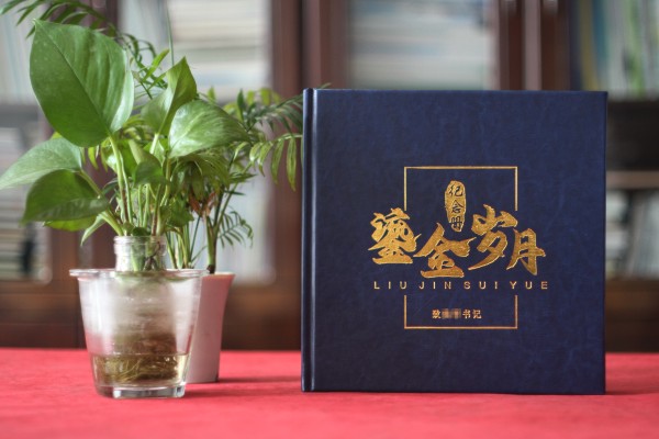 法院領(lǐng)導(dǎo)調(diào)離紀(jì)念冊設(shè)計(jì)-檢察院紀(jì)委書記在職期間工作業(yè)績回顧畫冊