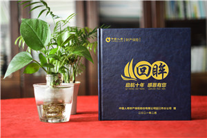 保險公司領導調離影集設計-總經理十年工作總結回憶錄紀念冊