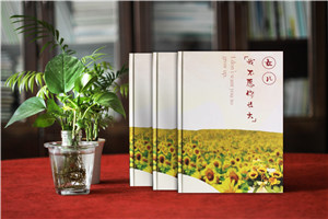 童年紀(jì)念相冊(cè)怎么做,為寶寶成長(zhǎng)成人禮定制畫冊(cè)