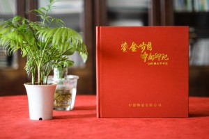 公司人事調(diào)動紀(jì)念相冊-領(lǐng)導(dǎo)晉升要走,臨別做一本工作歷程人物畫冊