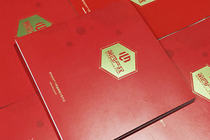 金融公司畫冊設計 金融行業(yè)宣傳冊設計要怎么做才好呢？