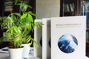 企業(yè)畫冊(cè)設(shè)計(jì)方法分享 專業(yè)的畫冊(cè)設(shè)計(jì)公司致力于提升企業(yè)品牌！