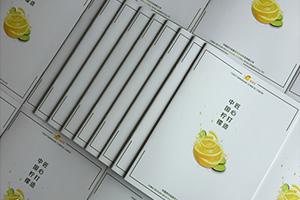 公司宣傳彩頁制作 怎么提升企業(yè)彩頁設(shè)計(jì)水平？