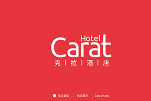 品牌設計公司的專業(yè)理念 企業(yè)品牌塑造與策劃的方法！