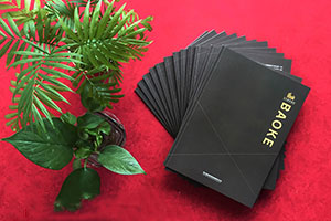 成都畫冊設(shè)計(jì)公司 具有專業(yè)的畫冊創(chuàng)意設(shè)計(jì)方向！