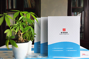 產(chǎn)品宣傳冊設(shè)計(jì)至關(guān)重要-通用的企業(yè)宣傳冊設(shè)計(jì)要素