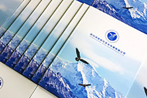 企業(yè)畫冊設(shè)計思路、理念有哪些重要的設(shè)計原則？