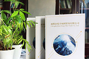企業(yè)宣傳冊設計怎么做 除了新穎大氣的設計風格還有哪些設計方法？