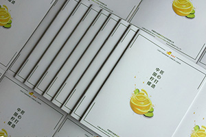 農業(yè)企業(yè)畫冊設計 農業(yè)公司宣傳冊設計提升企業(yè)知名度！