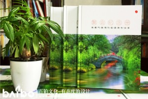同學(xué)聚會(huì)紀(jì)念冊內(nèi)容設(shè)計(jì) 應(yīng)該放入哪些板塊,放入哪些紀(jì)念冊內(nèi)容？