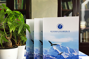 企業(yè)宣傳冊設計的兩大設計方向 找到企業(yè)宣傳冊設計的正確方法！