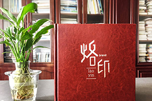 怎樣做出意義深遠(yuǎn)的個人紀(jì)念冊，個人成長紀(jì)念冊制作的做法是什么？