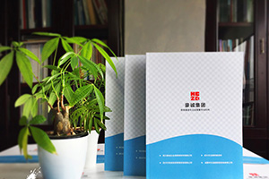 企業(yè)畫冊(cè)設(shè)計(jì)怎么做？畫冊(cè)制作的通用方法思考