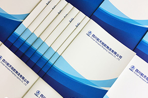 倉儲(chǔ)業(yè)、郵政業(yè)的企業(yè)畫冊(cè)設(shè)計(jì)特點(diǎn) 為制作優(yōu)秀的倉儲(chǔ)運(yùn)輸企業(yè)畫冊(cè)