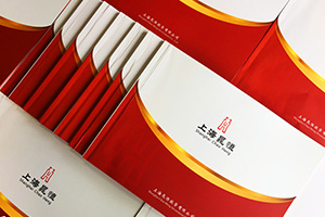 金融行業(yè)畫冊設(shè)計 注重金融企業(yè)的畫冊設(shè)計需求、方案、設(shè)計的配合！