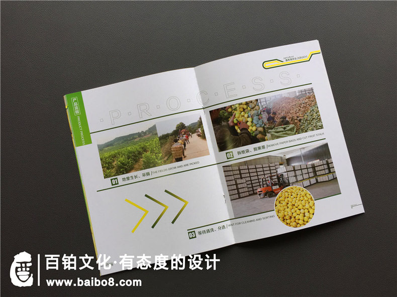 水果宣傳冊設(shè)計方法